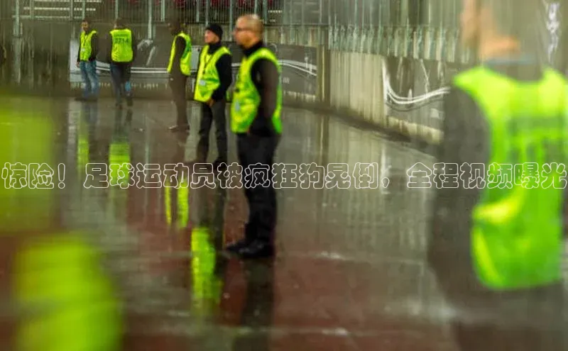 星耀娱乐下载地址链接荣信文化惊险！足球运动员被疯狂狗晃倒，全程视频曝光