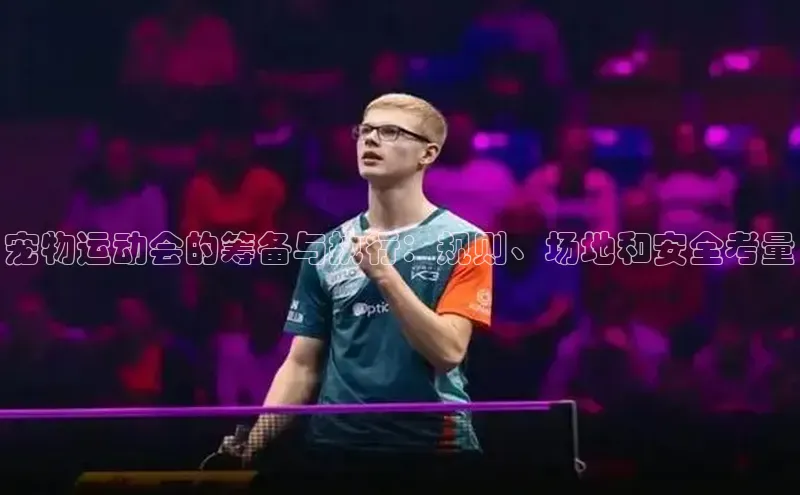 宠物运动会的筹备与执行：规则、场地和安全考量