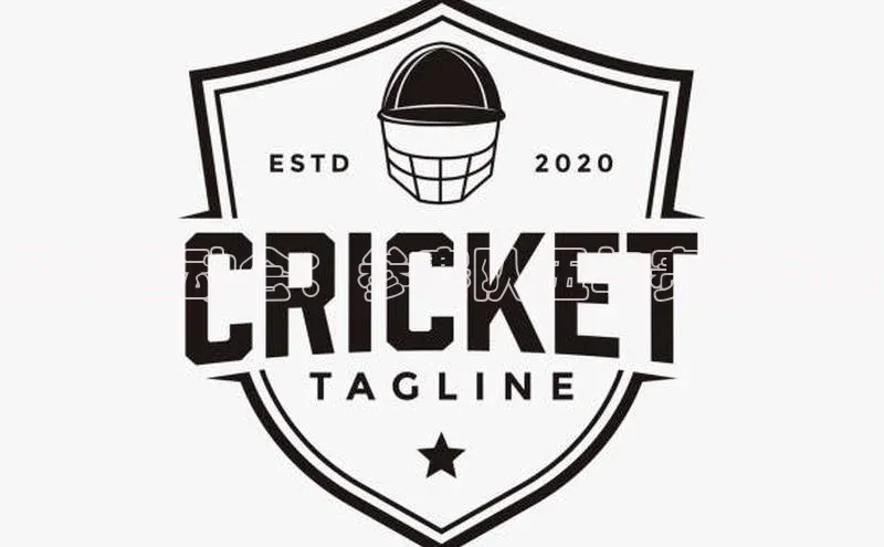 国内运动会：参赛队伍与赛事类型