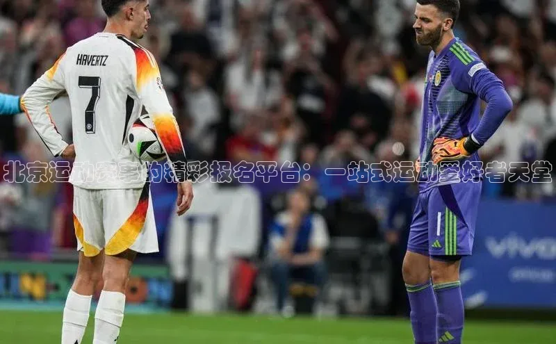 北京运动赛事的精彩报名平台：一站式运动爱好者天堂