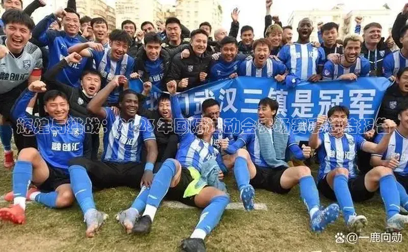 辉煌与挑战：2023年国际运动会赛场赛事总结报告