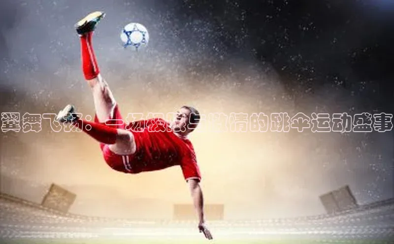 翼舞飞扬：一场极限与激情的跳伞运动盛事