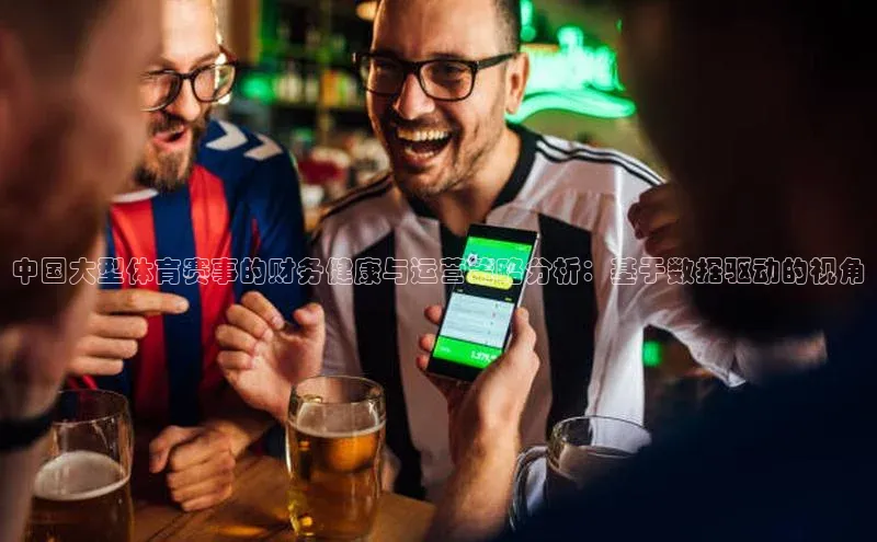 中国大型体育赛事的财务健康与运营策略分析：基于数据驱动的视角
