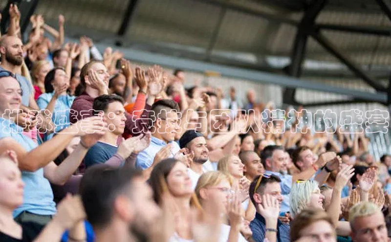 排球盛事：竞技与团队精神的盛宴