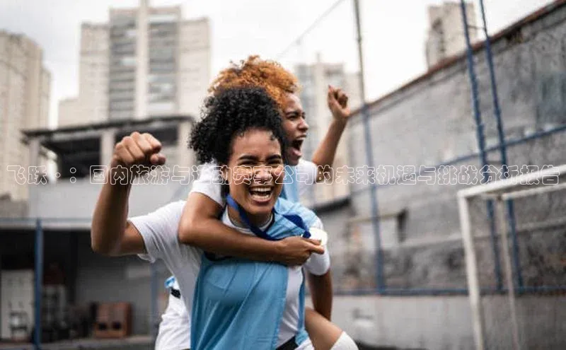 飞跃·：国内旅游与运动赛事公司的未来机遇与挑战分析报告