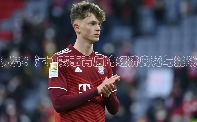 无界：运动赛事背后的经济奥秘与挑战