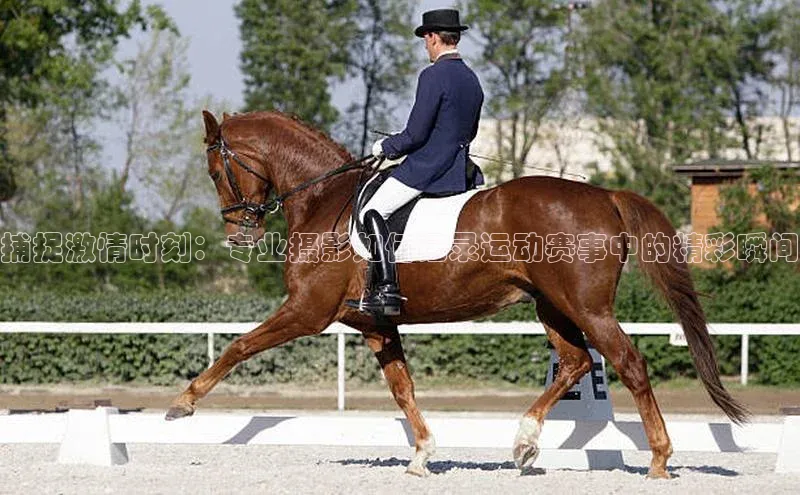 捕捉激情时刻：专业摄影如何记录运动赛事中的精彩瞬间