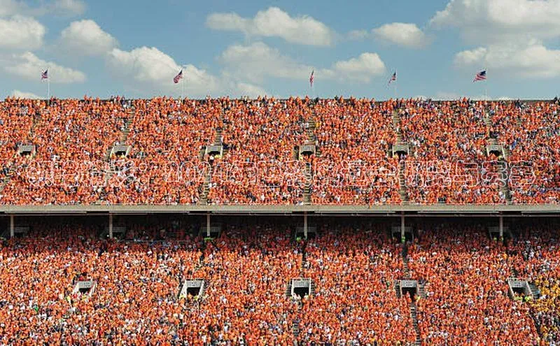 领略精彩：2024年巴黎奥运会概览与赛事