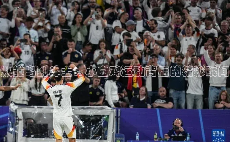 从雏鸟到斗士：小白鸡运动背后的精彩瞬间