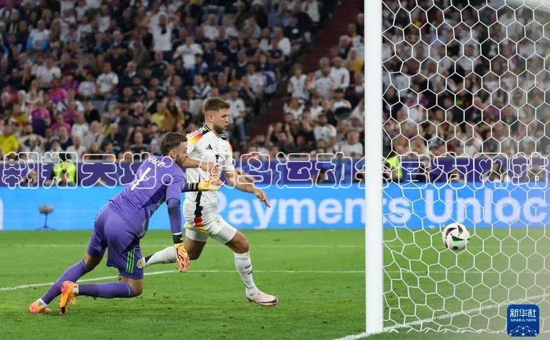 翱翔天地：候鸟运动会官方网站