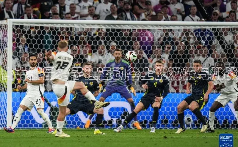 青春激昂：子江运动会上的激情与挑战