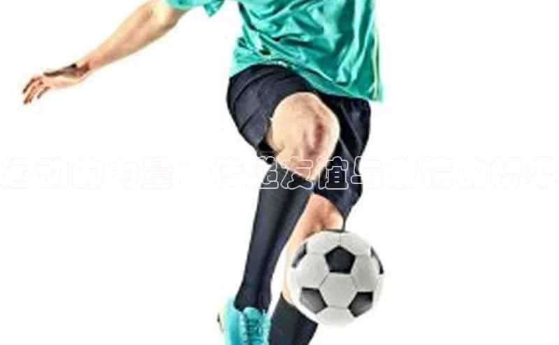 耀世娱乐app登录入口