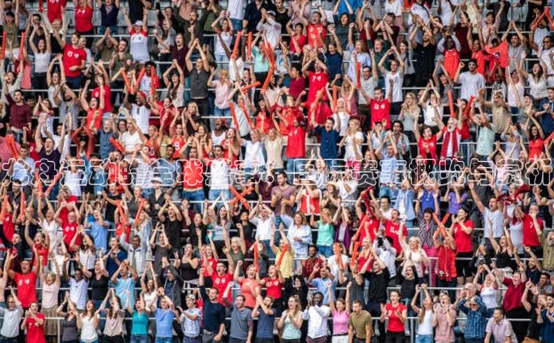 龙舟运动的全球盛事：国际赛事概览与赏析